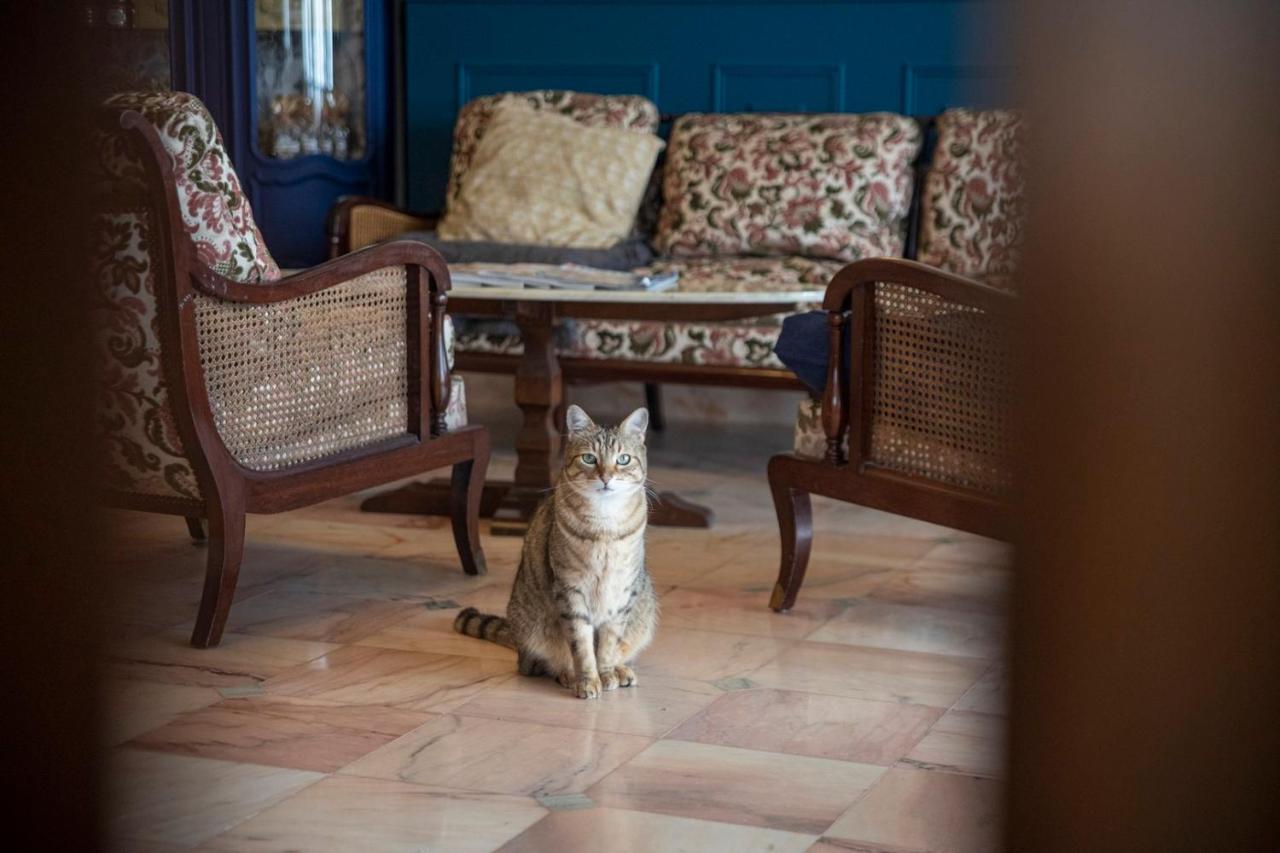 La Bellevue Breville - B&B Bagian luar foto